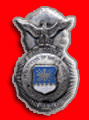 Killed In Action, or Line of Duty