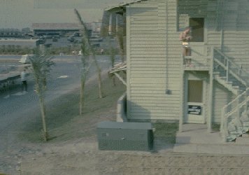 TSN-cook9.GIF
