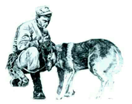 Exposure of Military Dog Handlers To Chemicals