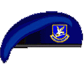 1041st Security Police Squadron (Test) Emblem - 1970