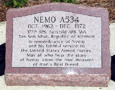 RIP: Nemo, A534