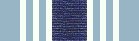 Air Force Overseas Ribbon (Long Tour)
