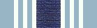 Air Force Overseas Ribbon (Long Tour)