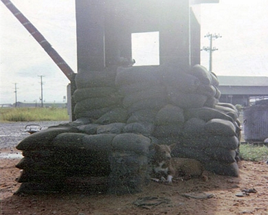 Biên Hòa AB Photos, 1971, by Donald L. Hooper