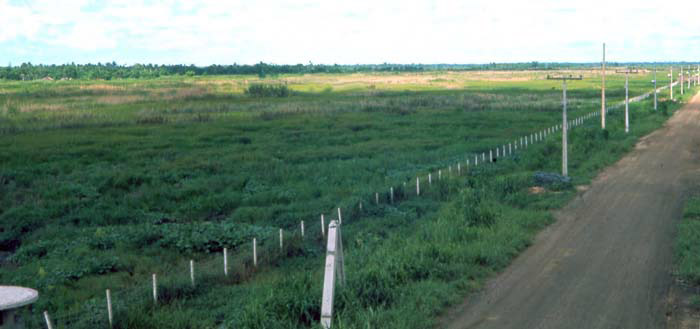 Bien Thuy Air Base, perimeter road. Blessed cloud drifts over. A momentary respite from oppresive sun. MSgt Summerfield, 1968: 24