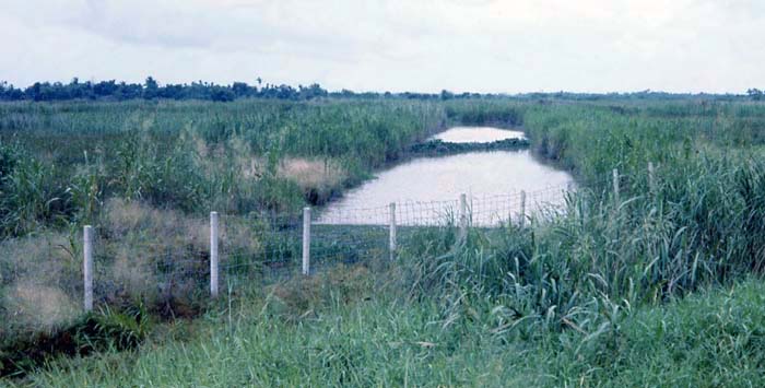 Bien Thuy Air Base, perimeter road flood channel. MSgt Summerfield, 1968: 26