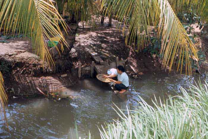 Bien Thuy Air Base, mamasan finds a quiet-cool palm tree as shade to do her laundry. MSgt Summerfield, 1968: 10