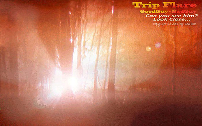 AIR FORCE BASES WEB MASTER MISCELLANEOUS<