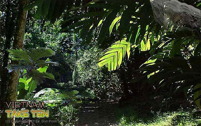 AIR FORCE BASES WEB MASTER MISCELLANEOUS<