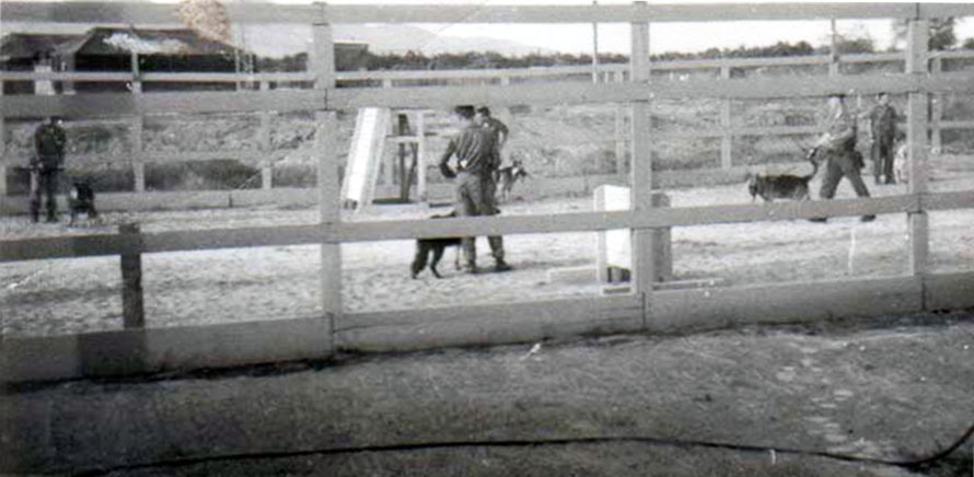 6. Đà Nẵng AB, 366th SPS, K-9: Growl Pad Training and Exercise yard. Photo by: Lee Miller, Nov 1966.