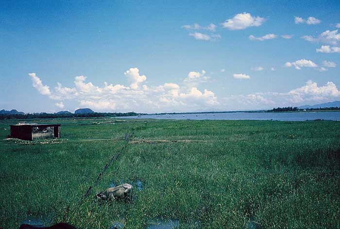 13. China Beach, Đà Nẵng: Marshland, bunkers and water buffalos.