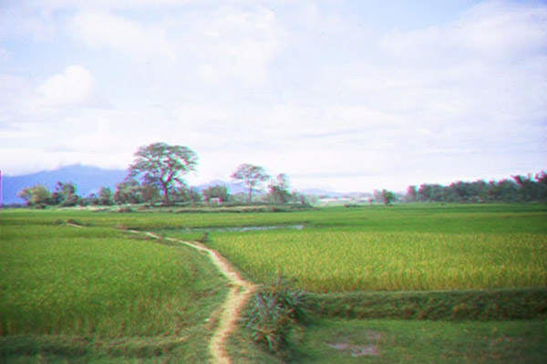 19. China Beach, Đà Nẵng: Rice fields and paddies, with Temple (center).