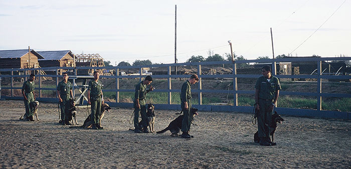 10. Đà Nẵng, K-9 Growl Pad: K-9 Training. R/L: Gary Eberbach, Hemmingway, -- , Hickey, Gallager, -- . 1965-1966.