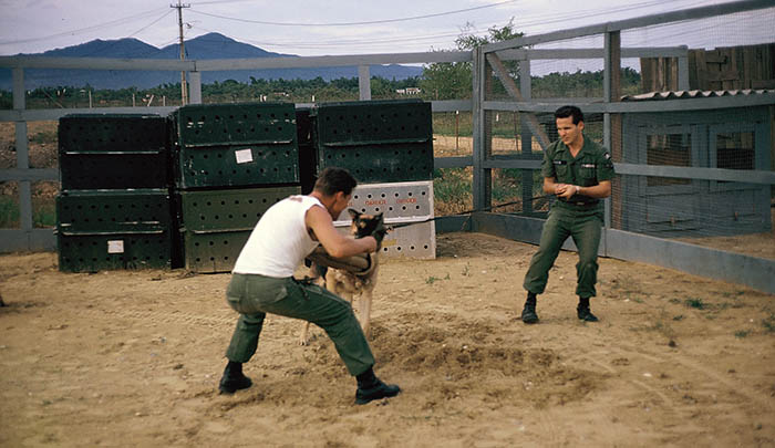 19. Đà Nẵng, K-9 Growl Pad: Don Poss and Blackie. 1965-1966.