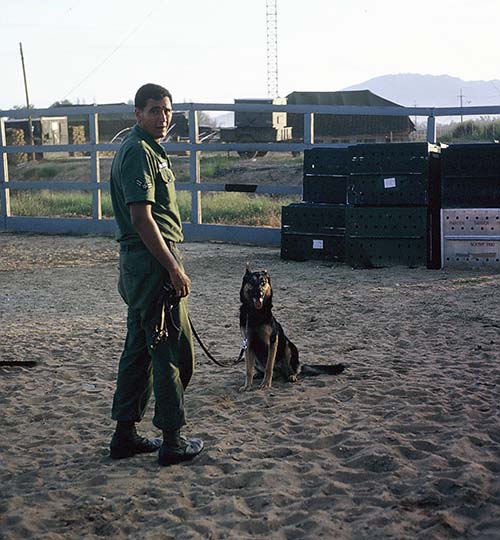 22. Đà Nẵng, K-9 Growl Pad: Gary Eberbach and Bucky. 1965-1966.