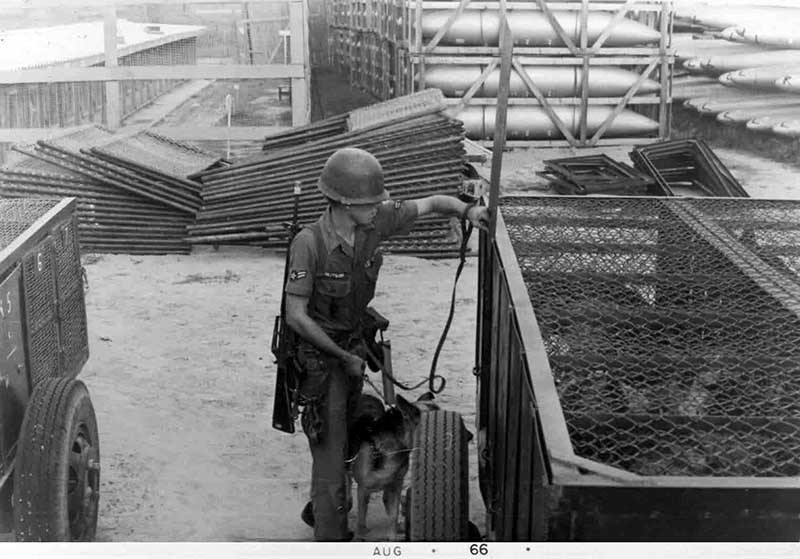 14. Đà Nẵng AB, K-9 Growl Pad: A2C Gary Knutson putting Eric in K-9 Posting Trailer. 1965.