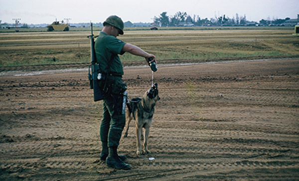 31. Đà Nẵng AB, K-9 Growl Pad: The night is coming and Tom Baker (RIP 2007) and Rex ready to enter Ammo/Bomb Dump for post patrol. 1965.