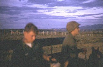 Đà Nẵng Perimeter K-9 Posts, 1966, by Don Poss