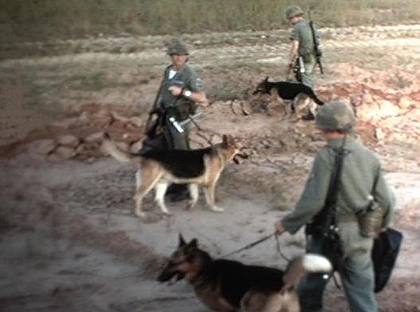 17. Đà Nẵng AB, 366th SPS, K-9: K-9 handlers posting between runways. Lee Miller, center. Photo by: Lee Miller, Nov 1965-1966.