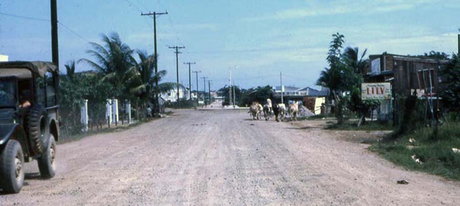 Dai Tan village road, with jeep and farm animals. MSgt Summerfield: 05