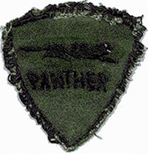 14) Patch: 366th APS 