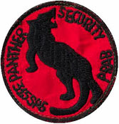 315th Security Police Squadron, patches, Phan Rang AB: RVN