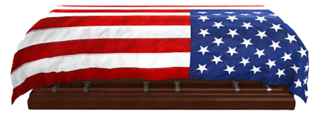 USA Coffin