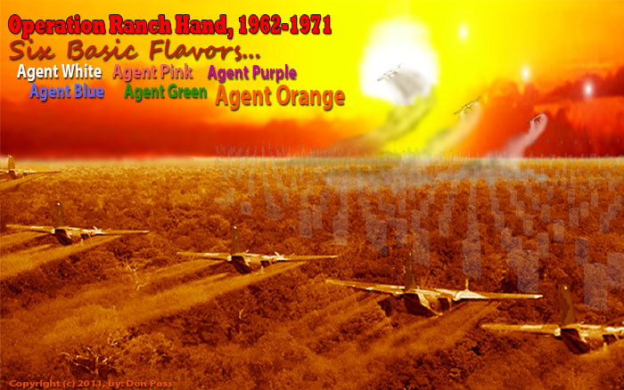 Agent Orange (White, Pink, Purple, Blue, and Green): Vietnam and Thailand. Operation Ranch Hand. Bases and Squadrons.