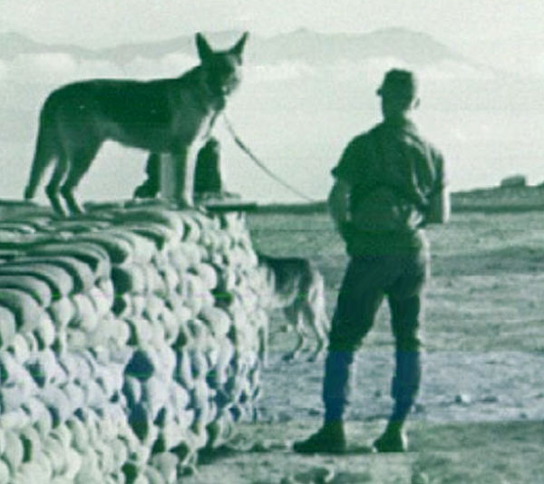 3. Hon Tre Island Portcall Radar, Bunker and Tower support. I took the [K-9] picture in 1967. It is an Air Force Military Policeman and his dog. Early morning shoot. [There appears to be a second Security Police K9 just behind the bunker.] photo © 2008, by Major George E. Martin, USA Retired.