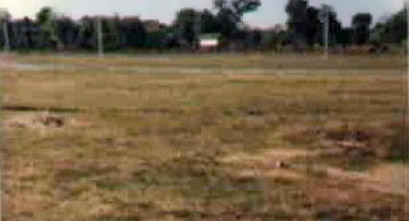 12. Ubon RTAFB. Fields of Fire, M60 Bunker. Photo by: Robert E. Williams, LM 15, UB, 8th SPS (LE); (TDY) CRB, 483rd SPS, 1971-1972.