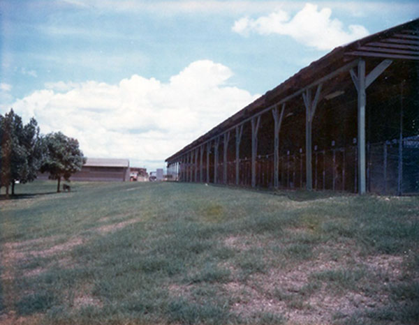 29. Phu Cat Air Base: View South toward Kennel Office. Photo by: Doug D. Davis, 1968.