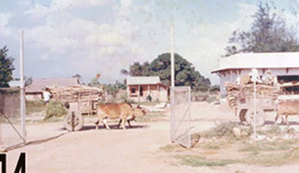 10. Phan Rang Air Base: Gate and road to town. Photo by Gary Phillips. c1966.