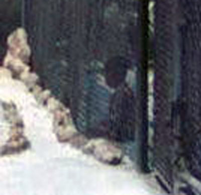 7. Cam Ranh Bay AB, Gate. Close up of child setting outside the fence line. Photographer: unknown.