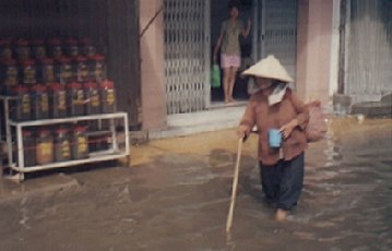 TSN - Saigon monsoon