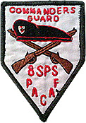 8th SPS Commander's Guard Drill Team Beret Flash 