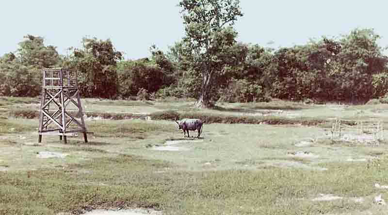 7. Ubon RTAFB. Off Base Tower, outside Back Gate. 1970. Photo by: Kelly Bateman, LM 118, UB, 8th SPS K9. 1970-1971.