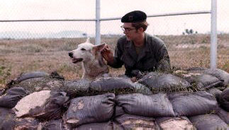 8. U-Tapao RTAFB, K-9 fighting Bunker. 1972-1973. Photo by: Steven Hughes, UT, 635th SPS K9. 1972-1973.