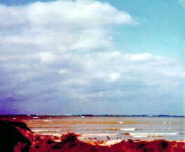 ut Beach 02