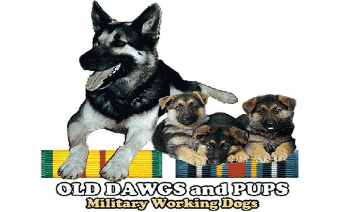 week-2001-09-11-odap-mwd-svn-and-terrorist-war-ribbons-1-don-poss-sm (2)