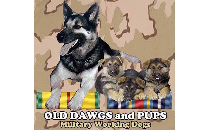 week-2001-09-11-odap-mwd-svn-and-terrorist-war-ribbons-2-don-poss-sm