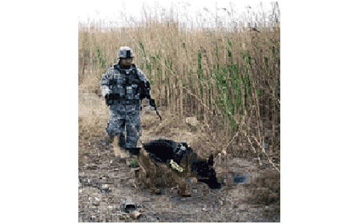 week-2010-03-06-odap-k9-377th-sfs-1-ssgt-raymond-castro-mwd-don-poss-sm