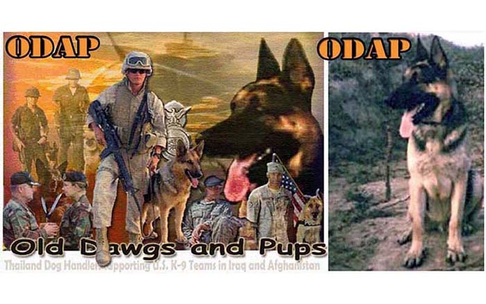 week-2010-08-03-odap-k9-mwd-steppin-out-3-don-poss-sm